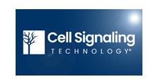 cell